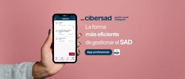cibersad gestión eficiente SAD