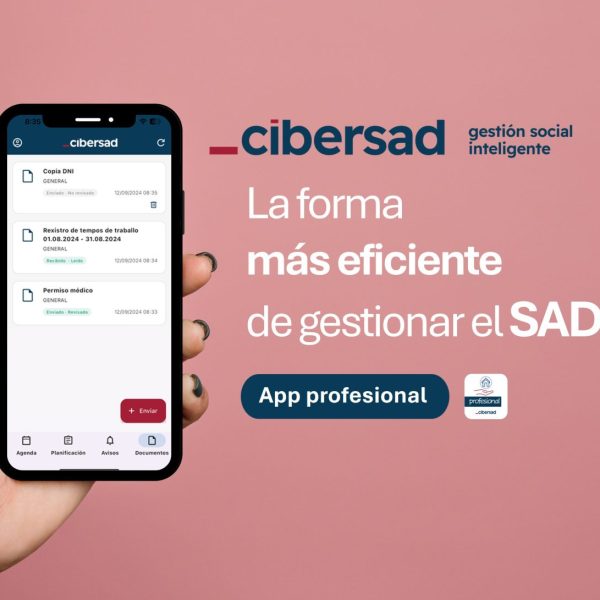 cibersad gestión eficiente SAD